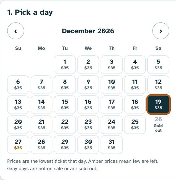 The ticket shop calendar for December with Saturday the 19th selected.
